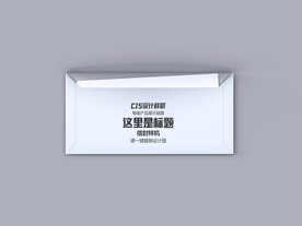 打开公信封样机