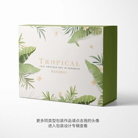 精品包装盒设计图
