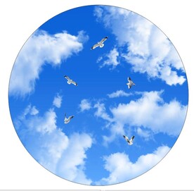 蓝天白云鸽子 圆形