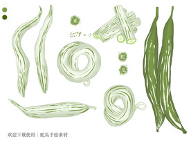 蛇瓜手绘素材