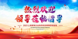 热烈欢迎领导指导