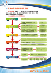 狂犬病暴露后预防处置流程