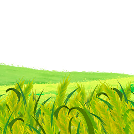 绿色金色麦子元素