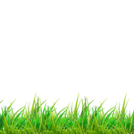 卡通插画植物绿色元素