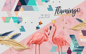 抽象火烈鸟羽毛几何图形电视背景