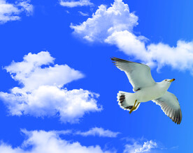 天空