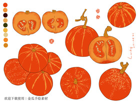金瓜手绘素材