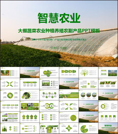 智慧农业大棚蔬菜农副产品PPT