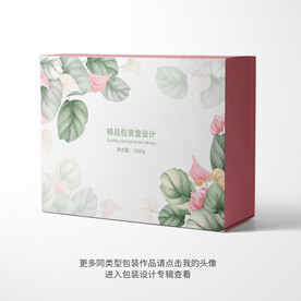 精品包装盒设计平面图