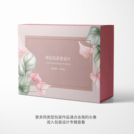 精品包装盒设计平面图