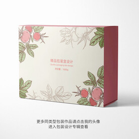 精品包装盒设计平面图