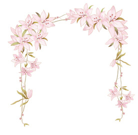 手绘百合花花边素材