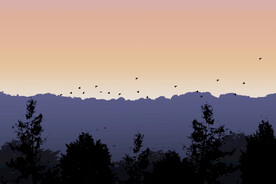  渐变远山树林霞光风景