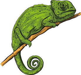 树枝上的变色龙矢量设计