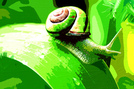 6090厘米装饰油画素材可印刷