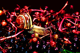 6090厘米装饰油画素材可印刷