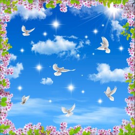 蓝天白云鸽子
