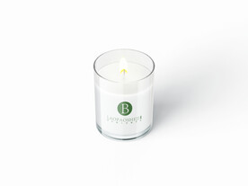 蜡烛玻璃杯样机图片