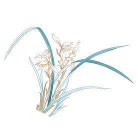 手绘兰花
