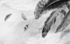 现代 羽毛背景墙画 分层文件 