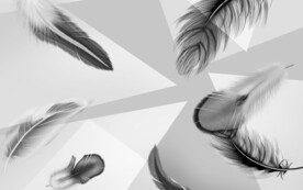 羽毛电视新背景墙 分层文件 