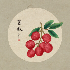 手绘荔枝