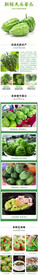 新鲜大头苦瓜详情页面设计