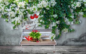 绿色植物墙壁长椅电视背景墙