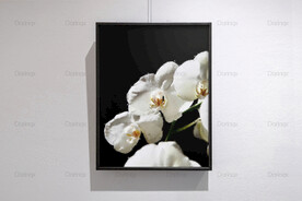 6090厘米装饰油画素材可印刷