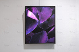 6090厘米装饰油画素材可印刷