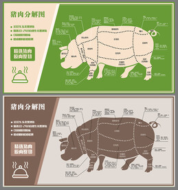 猪肉分解图