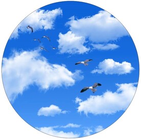蓝天白云鸽子圆形