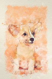 狗水彩画图片大全 狗水彩画设计素材 狗水彩画模板下载 狗水彩画图库 昵图网soso Nipic Com