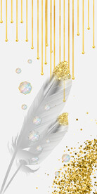 装饰画 晶瓷画 羽毛