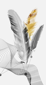 装饰画 晶瓷画 羽毛