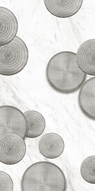 装饰画 晶瓷画 树轮