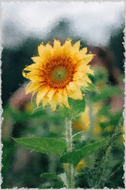 60X90餐厅装饰油画可印刷