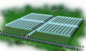 现代农业生态产业园