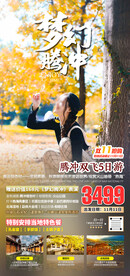 云南腾冲银杏小清新旅游海报