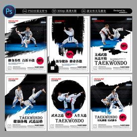 跆拳道海报
