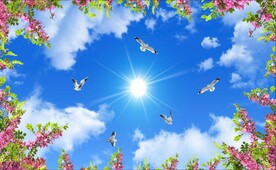 蓝天白云鸽子鲜花