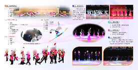 2021招生简章P5P6