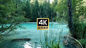 短视频素材林中安静流淌的湖水