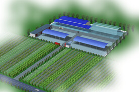 蔬菜专业合作社鸟瞰图