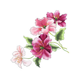 手绘花卉设计矢量图