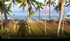 超清唯美椰树海滩