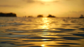 夕阳海高清视频