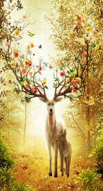 玄关 隔断 屏风