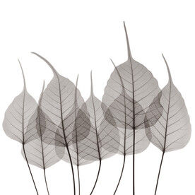 装饰画 晶瓷画 树叶