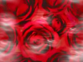 婚礼片头模板素材